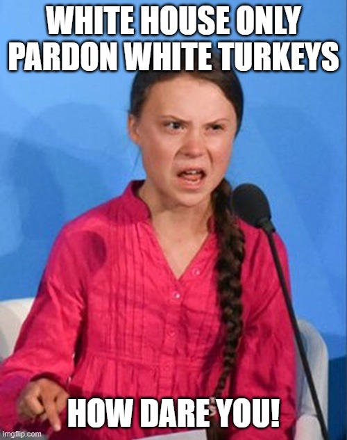 black lives matter | WHITE HOUSE ONLY PARDON WHITE TURKEYS; HOW DARE YOU! | image tagged in greta thunberg how dare you | made w/ Imgflip meme maker