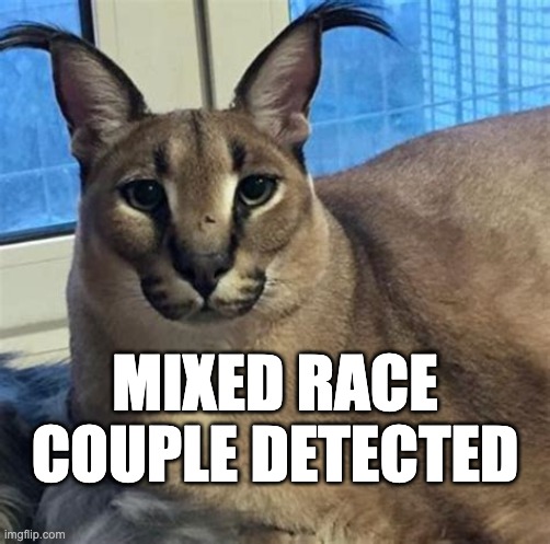 Larger Flopper | MIXED RACE COUPLE DETECTED | image tagged in larger flopper | made w/ Imgflip meme maker