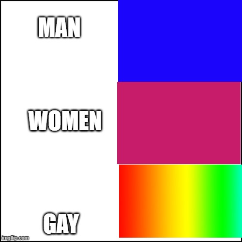 Hoho | MAN; WOMEN; GAY | image tagged in memes | made w/ Imgflip meme maker