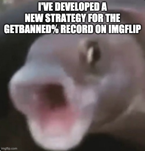 Poggers Fish | I'VE DEVELOPED A NEW STRATEGY FOR THE GETBANNED% RECORD ON IMGFLIP | image tagged in poggers fish | made w/ Imgflip meme maker