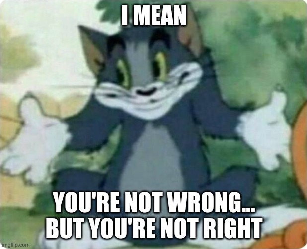 Tom Shrugging | I MEAN YOU'RE NOT WRONG... BUT YOU'RE NOT RIGHT | image tagged in tom shrugging | made w/ Imgflip meme maker
