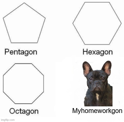 Pentagon Hexagon Octagon Meme | Myhomeworkgon | image tagged in memes,pentagon hexagon octagon,dog,homework,fun | made w/ Imgflip meme maker