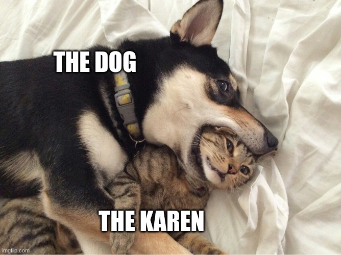 Dog VS Cat | THE DOG THE KAREN | image tagged in dog vs cat | made w/ Imgflip meme maker
