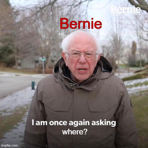 very unoriginal | Bernie; where? | image tagged in memes,bernie i am once again asking for your support,among us | made w/ Imgflip meme maker