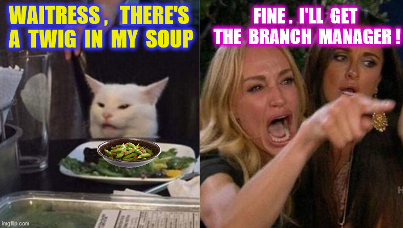 WAITRESS ,   THERE'S  A  TWIG  IN  MY  SOUP FINE .  I'LL  GET  THE  BRANCH  MANAGER ! | made w/ Imgflip meme maker