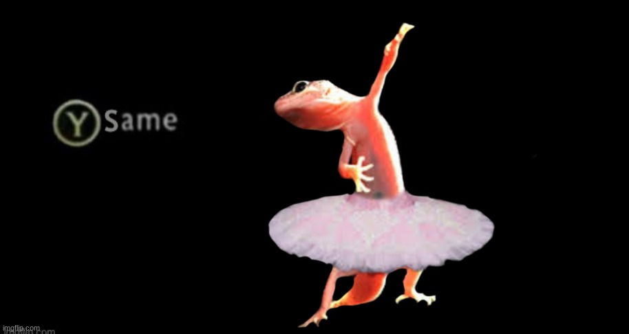 Custom same | image tagged in custom same | made w/ Imgflip meme maker