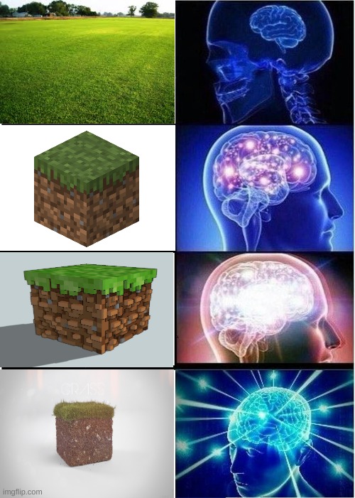 what grass that belongs to a genius looks like | image tagged in memes,expanding brain,minecraft,grass,funny | made w/ Imgflip meme maker