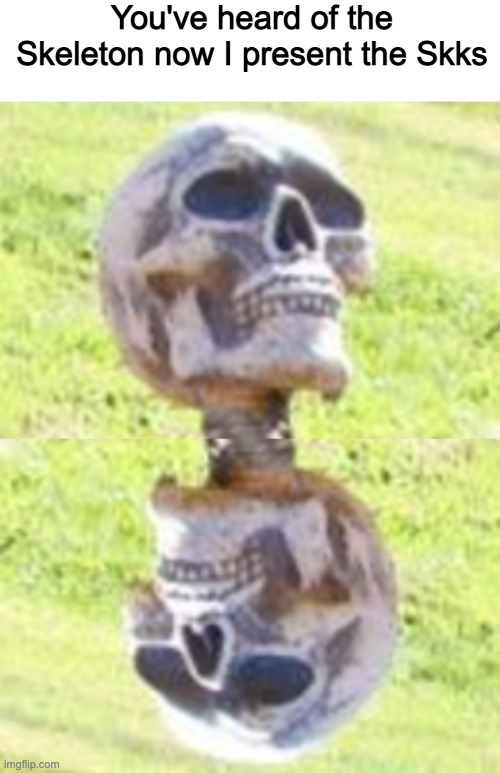 You've heard of the Skeleton now I present the Skks | made w/ Imgflip meme maker