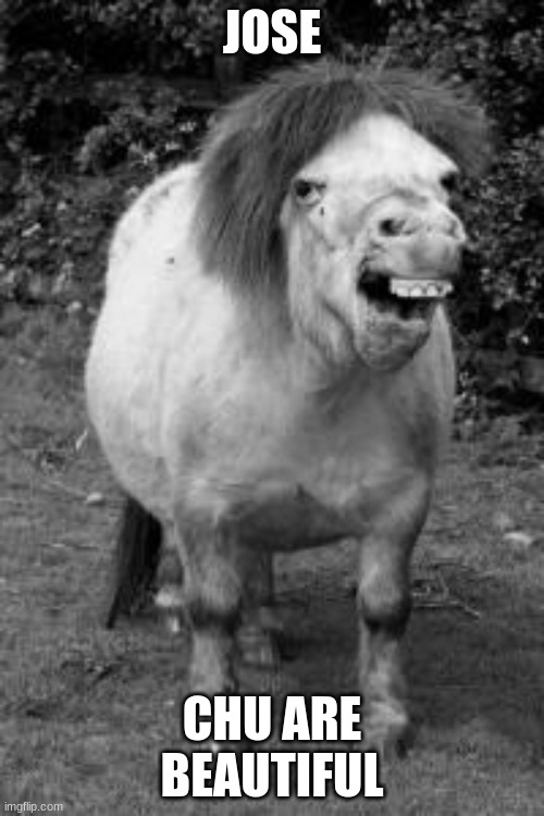 ugly horse | JOSE; CHU ARE BEAUTIFUL | image tagged in ugly horse | made w/ Imgflip meme maker
