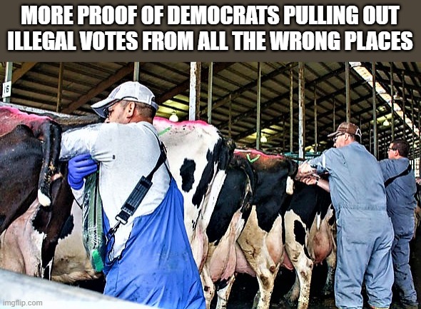 illegal search | MORE PROOF OF DEMOCRATS PULLING OUT
ILLEGAL VOTES FROM ALL THE WRONG PLACES | image tagged in political memes,political humor,democrats,elections,election fraud,voter fraud | made w/ Imgflip meme maker