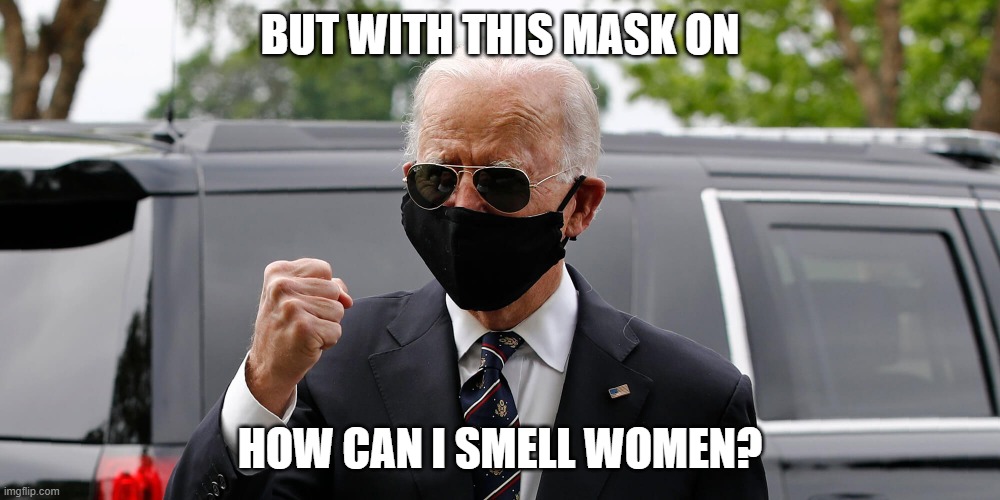 joe biden mask fist | BUT WITH THIS MASK ON; HOW CAN I SMELL WOMEN? | image tagged in joe biden mask fist | made w/ Imgflip meme maker