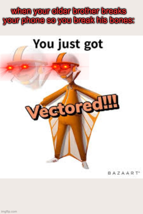 V E C T O R E D | when your older brother breaks your phone so you break his bones: | image tagged in you just got vectored | made w/ Imgflip meme maker