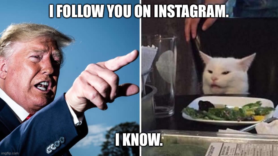 Trump yelling at cat | I FOLLOW YOU ON INSTAGRAM. I KNOW. | image tagged in trump yelling at cat | made w/ Imgflip meme maker