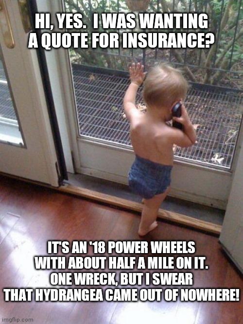 adulting | HI, YES.  I WAS WANTING A QUOTE FOR INSURANCE? IT'S AN '18 POWER WHEELS
WITH ABOUT HALF A MILE ON IT.
ONE WRECK, BUT I SWEAR THAT HYDRANGEA CAME OUT OF NOWHERE! | image tagged in baby on phone | made w/ Imgflip meme maker