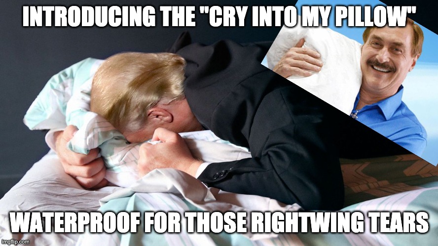 cry into my pillow | INTRODUCING THE "CRY INTO MY PILLOW"; WATERPROOF FOR THOSE RIGHTWING TEARS | image tagged in donald trump,my pillow guy | made w/ Imgflip meme maker