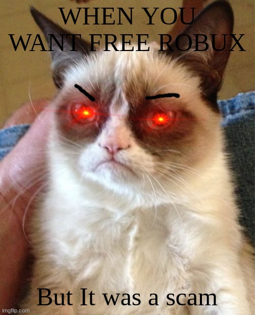 Scams are limited free | WHEN YOU WANT FREE ROBUX; But It was a scam | image tagged in memes,grumpy cat,robux | made w/ Imgflip meme maker