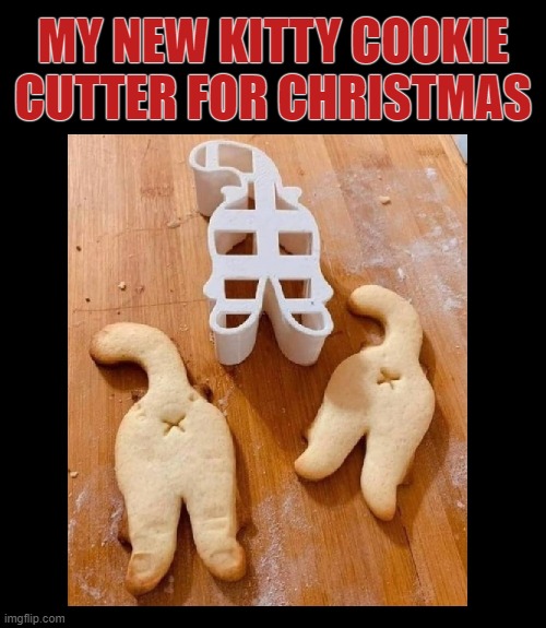 Follow me for more gift ideas | MY NEW KITTY COOKIE CUTTER FOR CHRISTMAS | image tagged in cats,dogs,pets,christmas,christmas cookies,funny cats | made w/ Imgflip meme maker
