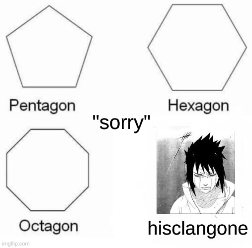 Pentagon Hexagon Octagon Meme | "sorry"; hisclangone | image tagged in memes,pentagon hexagon octagon | made w/ Imgflip meme maker