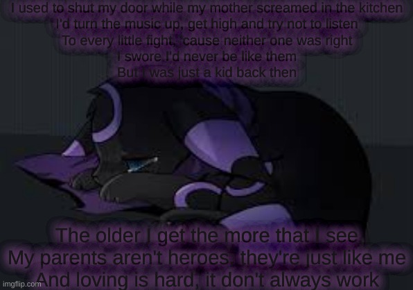 I used to shut my door while my mother screamed in the kitchen
I'd turn the music up, get high and try not to listen
To every little fight, 'cause neither one was right
I swore I'd never be like them
But I was just a kid back then; The older I get the more that I see
My parents aren't heroes, they're just like me
And loving is hard, it don't always work | made w/ Imgflip meme maker