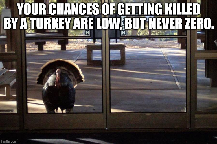 Chances of getting killed by a turkey | YOUR CHANCES OF GETTING KILLED BY A TURKEY ARE LOW, BUT NEVER ZERO. | image tagged in thanksgiving,turkey | made w/ Imgflip meme maker