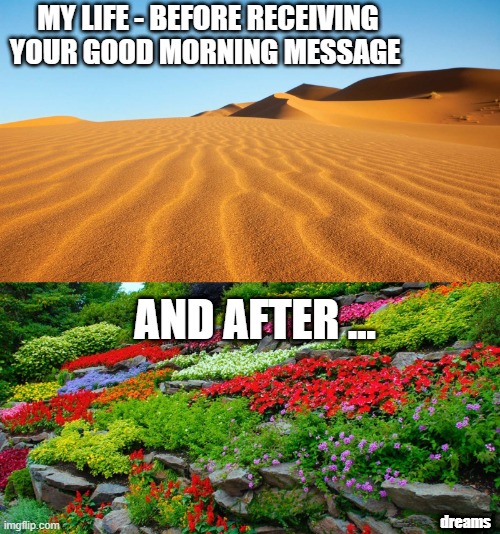 Whatsapp Cringe Posting | MY LIFE - BEFORE RECEIVING YOUR GOOD MORNING MESSAGE; AND AFTER ... dreams | image tagged in random tag | made w/ Imgflip meme maker