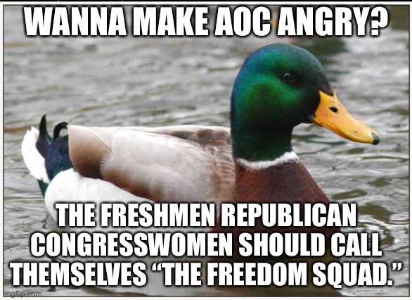 This will trigger AOC | WANNA MAKE AOC ANGRY? THE FRESHMEN REPUBLICAN CONGRESSWOMEN SHOULD CALL THEMSELVES “THE FREEDOM SQUAD.” | image tagged in memes,actual advice mallard,aoc,republicans,squad,freedom | made w/ Imgflip meme maker