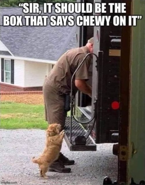 home delivery | image tagged in dog,ups | made w/ Imgflip meme maker