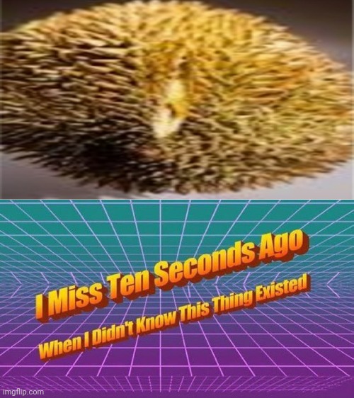 I miss ten seconds ago | image tagged in i miss ten seconds ago | made w/ Imgflip meme maker