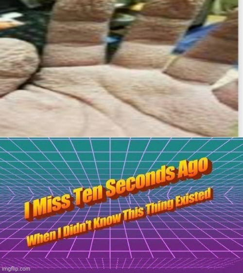 image tagged in i miss ten seconds ago | made w/ Imgflip meme maker