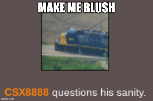 CSX8888 questions his sanity | MAKE ME BLUSH | image tagged in csx8888 questions his sanity | made w/ Imgflip meme maker