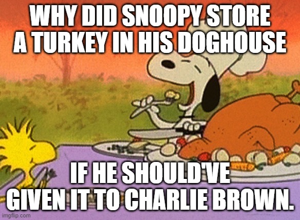 Charlie Brown thanksgiving  | WHY DID SNOOPY STORE A TURKEY IN HIS DOGHOUSE; IF HE SHOULD'VE GIVEN IT TO CHARLIE BROWN. | image tagged in charlie brown thanksgiving,thanksgiving,peanuts | made w/ Imgflip meme maker