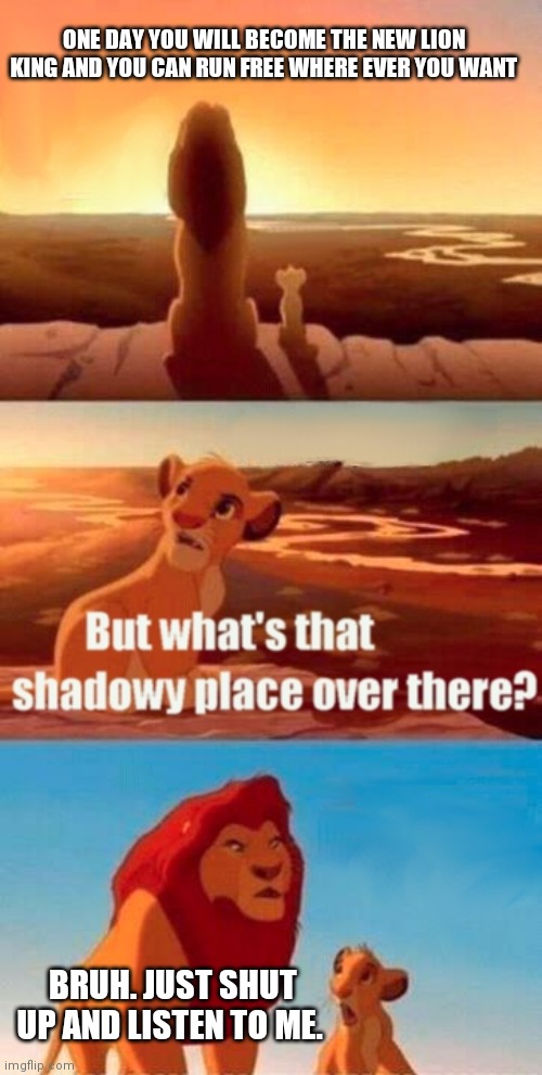 Simba Shadowy Place | ONE DAY YOU WILL BECOME THE NEW LION KING AND YOU CAN RUN FREE WHERE EVER YOU WANT; BRUH. JUST SHUT UP AND LISTEN TO ME. | image tagged in memes,simba shadowy place | made w/ Imgflip meme maker