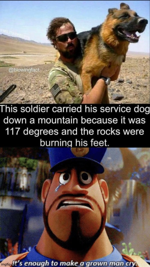 It is amazing what people do for their dogs. | image tagged in it's enough to make a grown man cry,savior,help,dog | made w/ Imgflip meme maker