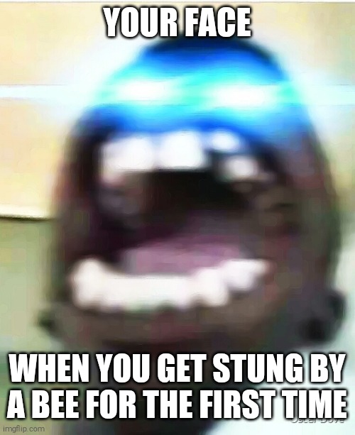 Bee sting | YOUR FACE; WHEN YOU GET STUNG BY A BEE FOR THE FIRST TIME | image tagged in laser eyes,screaming,face | made w/ Imgflip meme maker