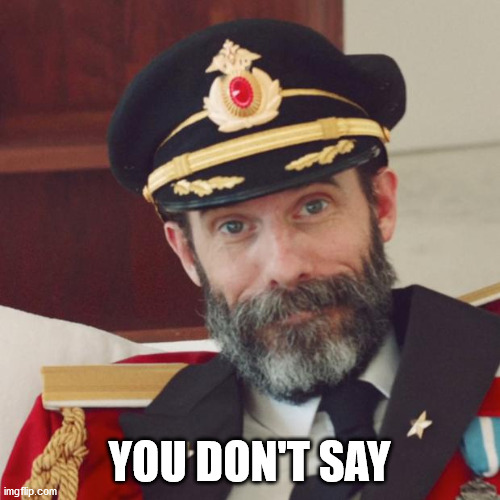 Captain Obvious | YOU DON'T SAY | image tagged in captain obvious | made w/ Imgflip meme maker