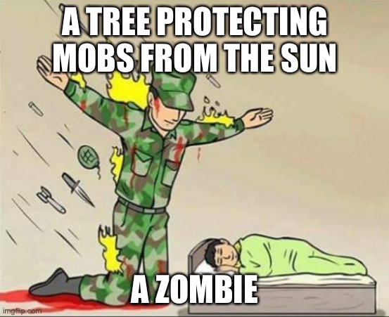 Soldier protecting sleeping child | A TREE PROTECTING MOBS FROM THE SUN; A ZOMBIE | image tagged in soldier protecting sleeping child | made w/ Imgflip meme maker