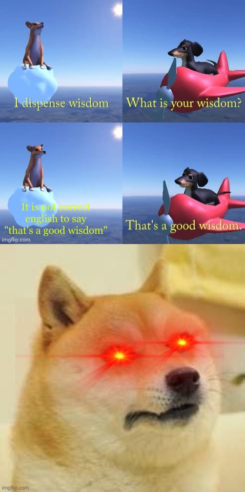 angry dog | It is not correct english to say "that's a good wisdom" | image tagged in wisdom dog,angry doge | made w/ Imgflip meme maker