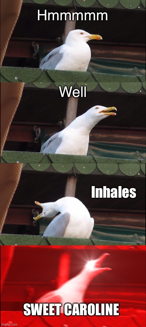 Inhaling Seagull | Hmmmmm; Well; Inhales; SWEET CAROLINE | image tagged in memes,inhaling seagull | made w/ Imgflip meme maker