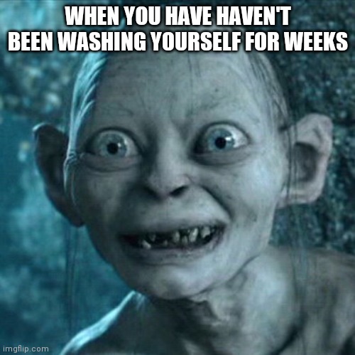 Gollum Meme | WHEN YOU HAVE HAVEN'T BEEN WASHING YOURSELF FOR WEEKS | image tagged in memes,gollum | made w/ Imgflip meme maker