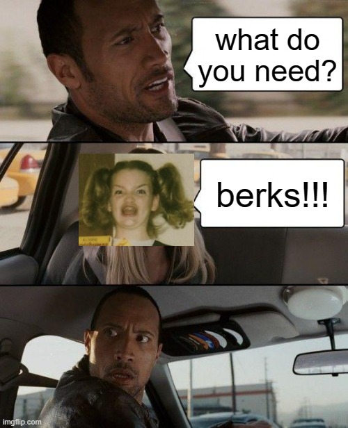 why are you here | what do you need? berks!!! | image tagged in memes,the rock driving | made w/ Imgflip meme maker