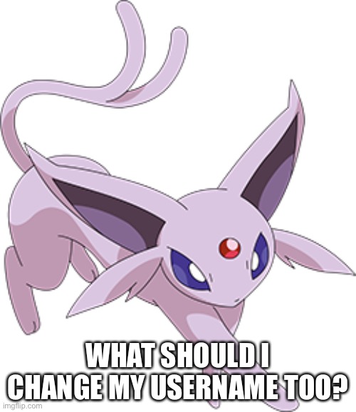 I don’t really like DeletionEspeon as a username too much | WHAT SHOULD I CHANGE MY USERNAME TOO? | made w/ Imgflip meme maker