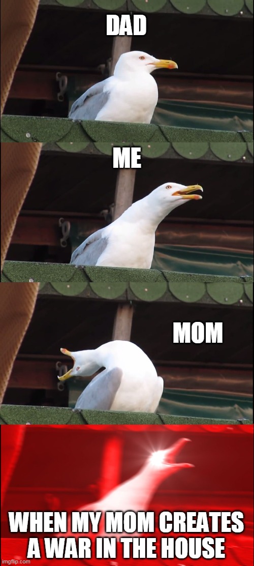 happens every time | DAD; ME; MOM; WHEN MY MOM CREATES A WAR IN THE HOUSE | image tagged in memes,inhaling seagull | made w/ Imgflip meme maker