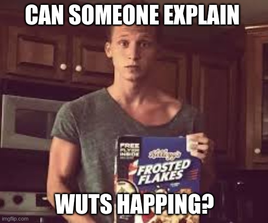 plz explain | CAN SOMEONE EXPLAIN; WUTS HAPPING? | made w/ Imgflip meme maker