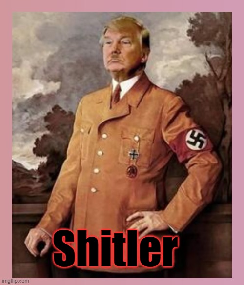 Bunkered down | Shitler | image tagged in donald trump,shiitler,no fraud,2020 | made w/ Imgflip meme maker