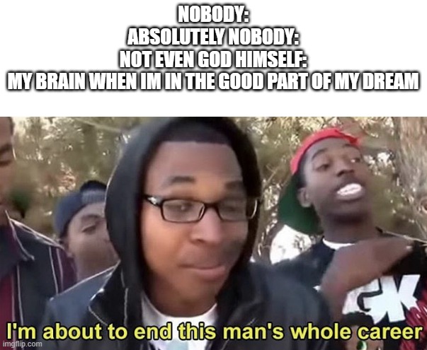 bruh, anyone can relate? |  NOBODY:
ABSOLUTELY NOBODY:
NOT EVEN GOD HIMSELF:
MY BRAIN WHEN IM IN THE GOOD PART OF MY DREAM | image tagged in im gonna end this mans whole career | made w/ Imgflip meme maker