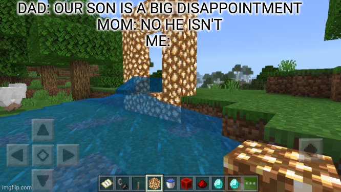DAD: OUR SON IS A BIG DISAPPOINTMENT
MOM: NO HE ISN'T
ME: | image tagged in minecraft,gaming,video games | made w/ Imgflip meme maker