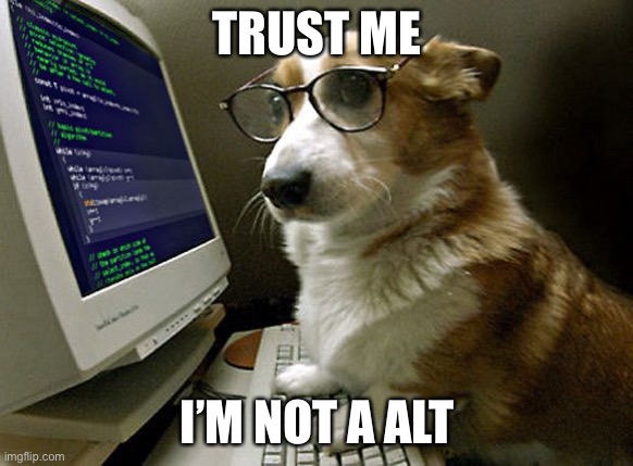 corgi hacker | TRUST ME; I’M NOT A ALT | image tagged in corgi hacker | made w/ Imgflip meme maker