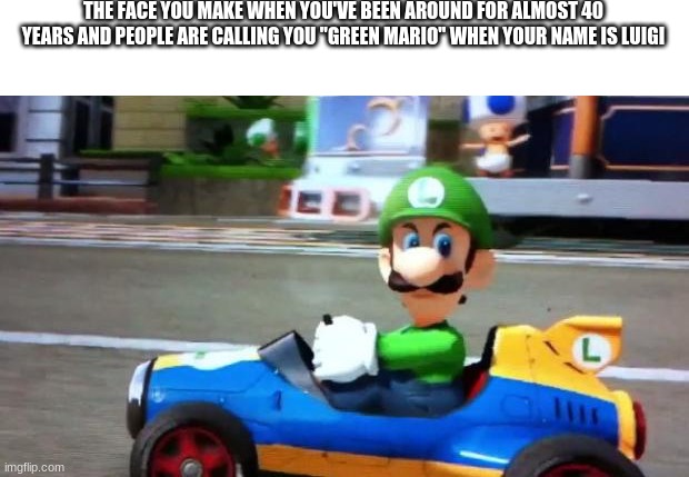 Luigi Death Stare | THE FACE YOU MAKE WHEN YOU'VE BEEN AROUND FOR ALMOST 40 YEARS AND PEOPLE ARE CALLING YOU "GREEN MARIO" WHEN YOUR NAME IS LUIGI | image tagged in luigi death stare | made w/ Imgflip meme maker