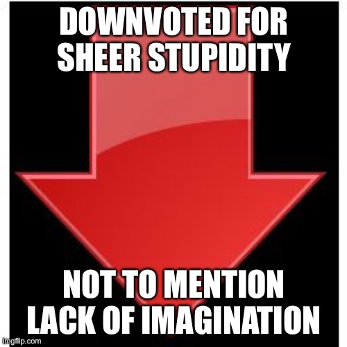 downvotes | DOWNVOTED FOR SHEER STUPIDITY NOT TO MENTION LACK OF IMAGINATION | image tagged in downvotes | made w/ Imgflip meme maker