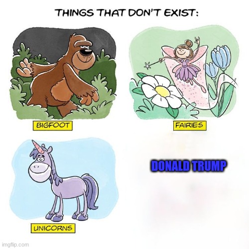 Things That Don't Exist | DONALD TRUMP | image tagged in things that don't exist | made w/ Imgflip meme maker